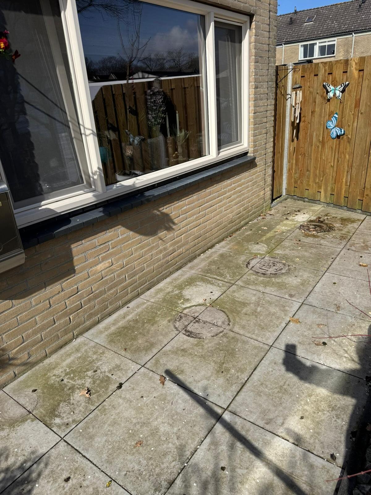 Achterterras met groene aanslag en donkere kringen op de tegels